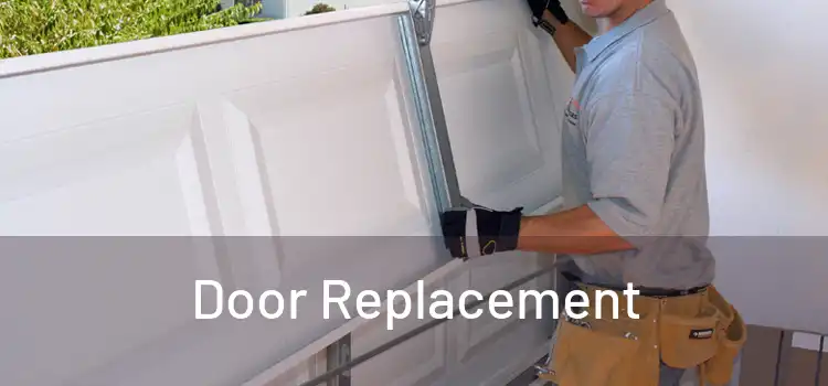  Door Replacement 