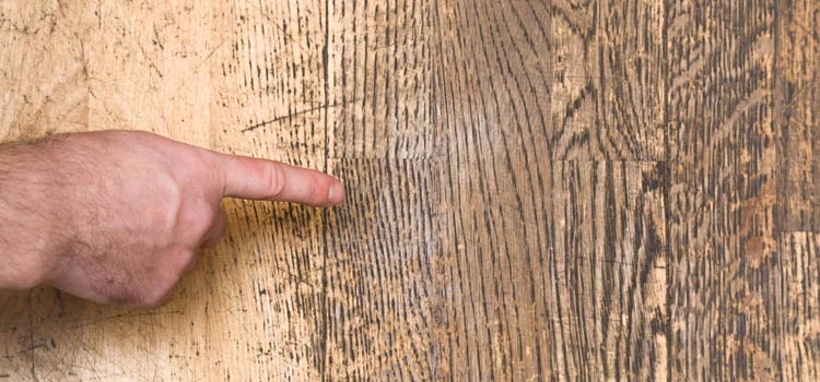 Wood Door Scratch Repair in Mira Loma